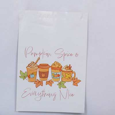 Custom Poly Mailer Bags 18x28cm To 50x70cm Sizes PE Recycled Poly Mailers ODM
