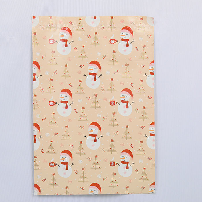 Waterproof PE Reusable Poly Mailers Biodegradable Customized Poly Mailer