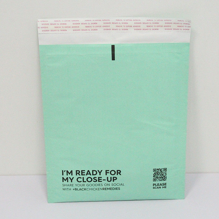 Green / Transparent Recyclable Paper Mailers 20x30cm Plant Based Paper Packaging Envelopes