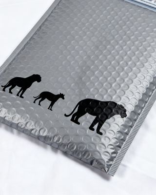 Anti-static Coating Plastic Bubble Mailer with Customizable Colors and Bubble Wrap Lining for Secure Packaging