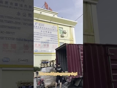 Sacos de Envio de Polietileno Biodegradáveis Personalizados 10x13in