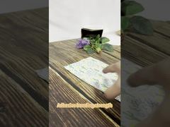 A Closer Look: Semi-Transparent EVA Frosted Zipper Bag 