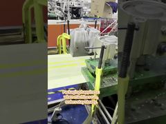 Meat Packaging Plastic Bag